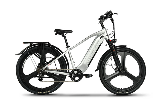 SPURT PRO 29" Torque Sensor Electric Mountain Bike