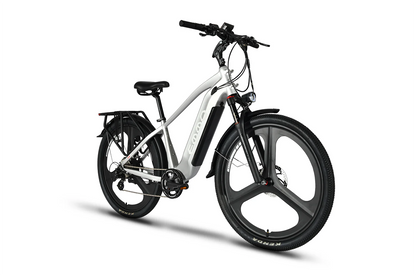 SPURT PRO 29" Torque Sensor Electric Mountain Bike